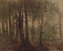 Владимир Чёрный художник. <br/>«Лесной туман»<br/>